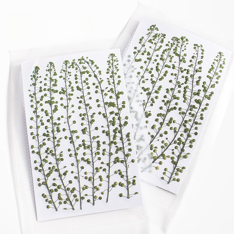 Natural Color Green Bell Grass - Resin Craft Ideas recension och pris