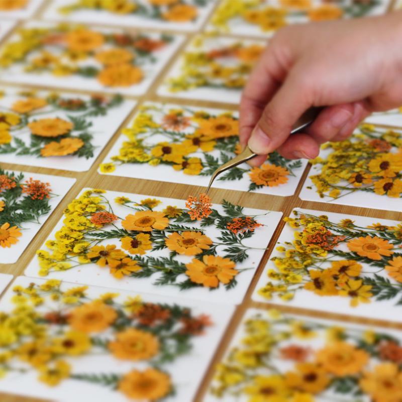 Real Natural Pressed Dried Pla - Resin Craft Ideas recension och pris