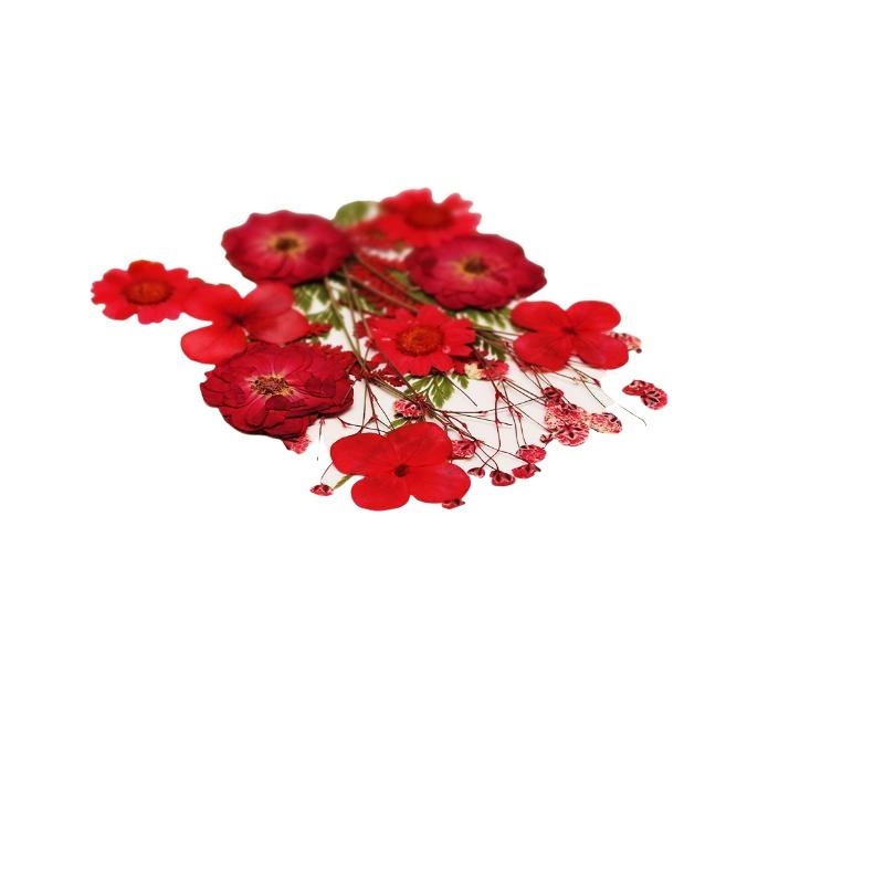 Real Natural Pressed Dried Pla - Resin Craft Ideas recension och pris