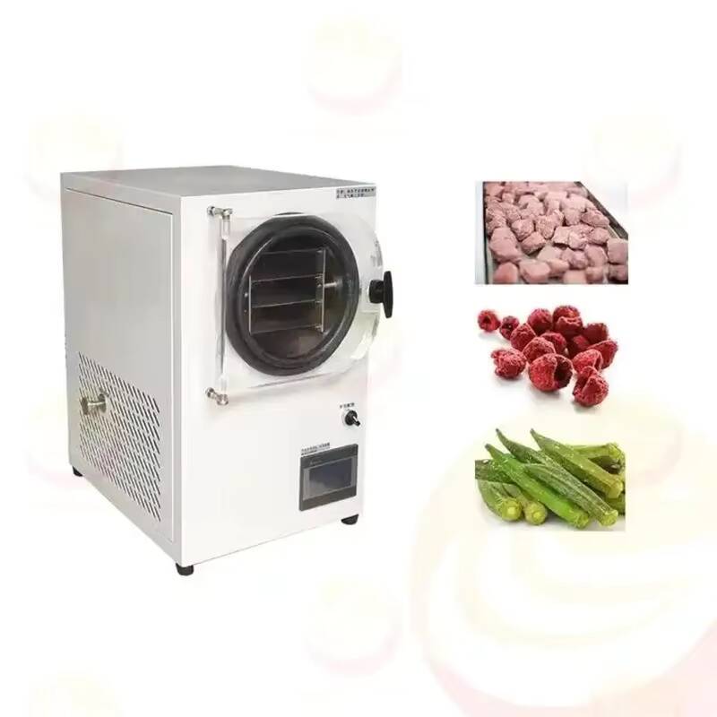 Freeze Drying Machine Small Va - Vacuum Chamber Small recension och pris