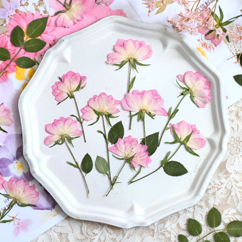 12pcs,Real Dried Pressed Flowe - Resin Craft Ideas recension och pris