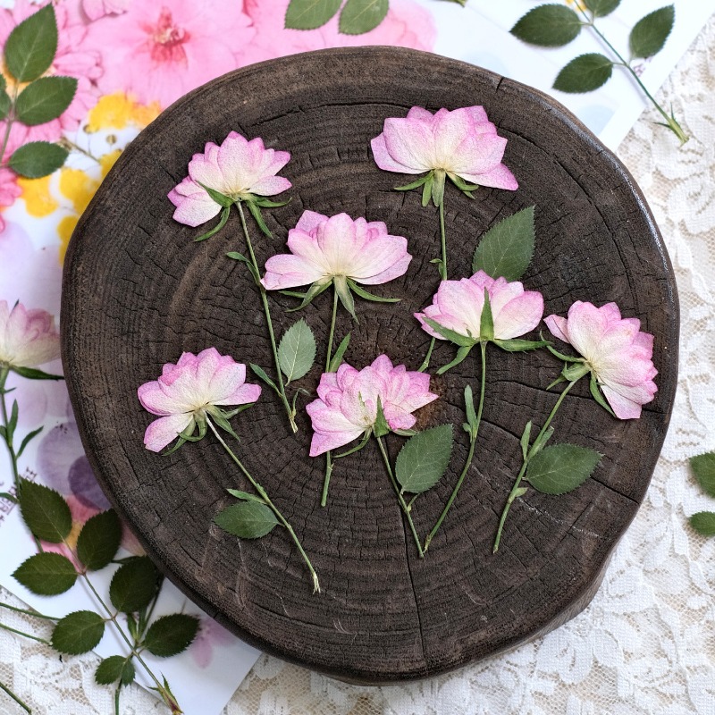 12pcs,Real Dried Pressed Flowe - Resin Craft Ideas recension och pris