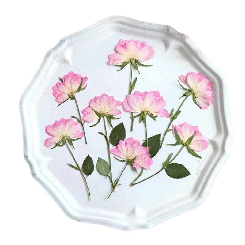 12pcs,Real Dried Pressed Flowe - Resin Craft Ideas recension och pris